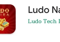 Play Ludo and Earn Real Money in Nigeria